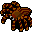 Old - wolf spider.png