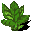 Old - plant 6.png